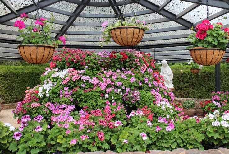 Geelong Botanic Gardens, Australia